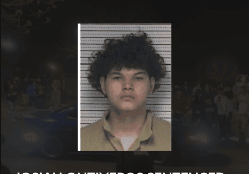 Young Park Sentences